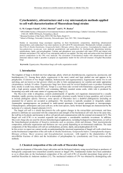 Cytochemistry, ultrastructure and x