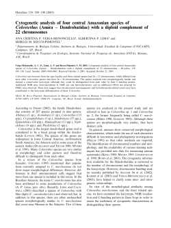 Cytogenetic analysis of four central Amazonian species of Colostethus
