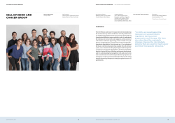 cell division and cancer group