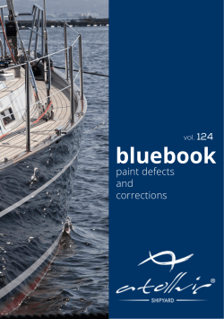 Guide to common paint defects