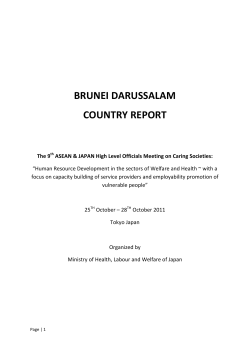 BRUNEI DARUSSALAM COUNTRY REPORT