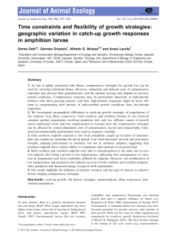 Time constraints and flexibility of growth strategies: geographic