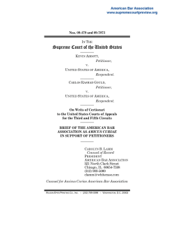 Brief for the American Bar Association in Support of Petitioner