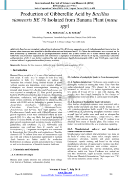 Production of Gibberellic Acid by Bacillus siamensis BE 76 Isolated