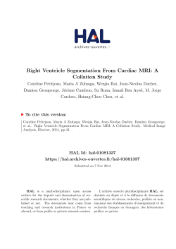 Right Ventricle Segmentation From Cardiac MRI: A Collation Study