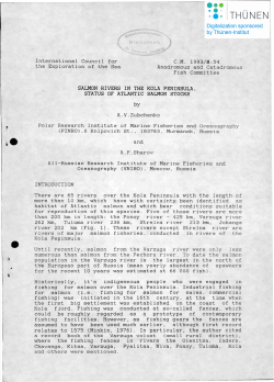 salmon rivers in the kola peninsula.