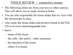 TISSUE REVIEW - connective tissues