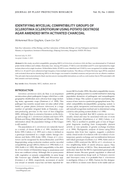 identifying mycelial compatibility groups of sclerotinia sclerotiorum