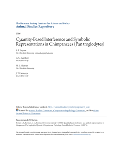 Quantity-Based Interference and Symbolic Representations in
