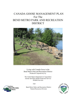 canada goose management plan - Bend Parks and Recreation District