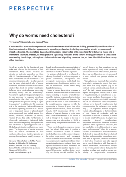 perspective - MPI-CBG Publications