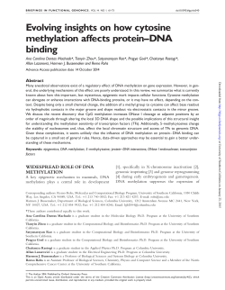 Evolving insights on how cytosine methylation affects protein^DNA