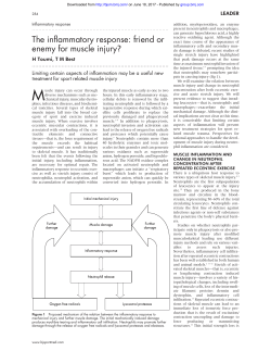 The inflammatory response: friend or enemy for muscle injury?