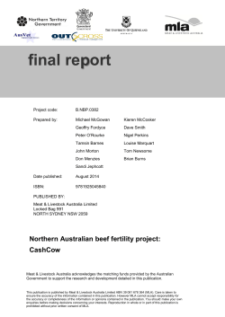 B.NBP.0382 Final Report