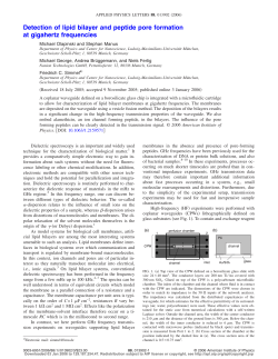 Detection of lipid bilayer and peptide pore formation at gigahertz
