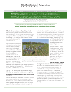management of nitrogen fertilizer to reduce nitrous