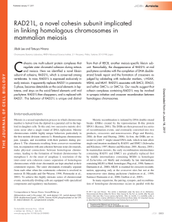 RAD21L, a novel cohesin subunit implicated in linking homologous