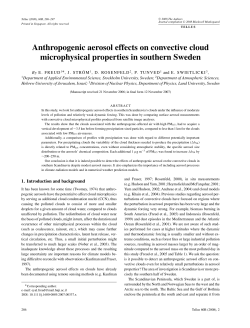 Anthropogenic aerosol effects on convective cloud microphysical
