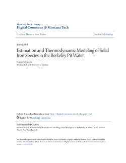 Estimation and Thermodynamic Modeling of Solid Iron Species in
