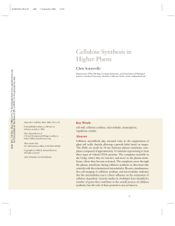 Cellulose Synthesis in Higher Plants