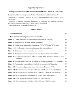 Supporting Information