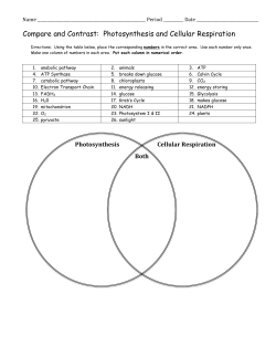 Compare and Contrast: Photosynthesis and