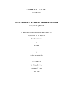 Isolating Fluorescent Ag:DNA Molecules Through