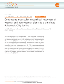 Contrasting arbuscular mycorrhizal responses of vascular