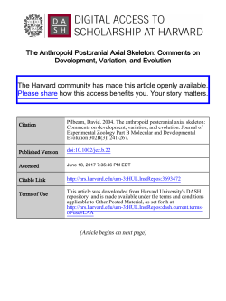 The Anthropoid Postcranial Axial Skeleton