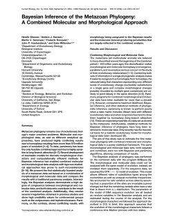 Bayesian Inference of the Metazoan Phylogeny: A Combined