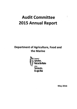 Audit` Committee 2015 Annual Report
