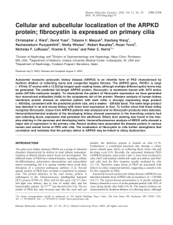 fibrocystin is expressed on primary cilia