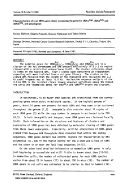 Characterization of a rat tRNA gene cluster containing the genes for
