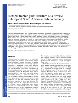Isotopic trophic guild structure of a diverse subtropical South