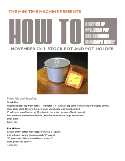 november 2013: stock pot and pot holder