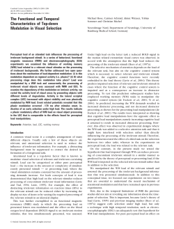 The Functional and Temporal Characteristics of