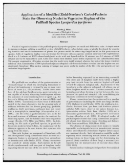 Application of a Modified Ziehl-Neelsen`s Carbol