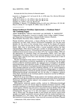 Human Erythrocyte Hereditary Spherocytosis: A Membrane Defect