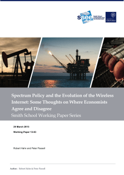 Spectrum Policy and the Evolution of the Wireless Internet: Some