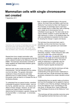 Mammalian cells with single chromosome set created