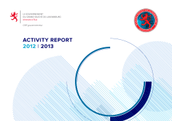 activity report 2012 i 2013