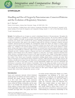 Handling and Use of Oxygen by Pancrustaceans: Conserved