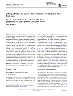 Nitrogen fixation by cyanobacteria stimulates production in Baltic