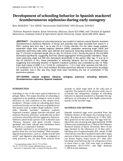 Development of schooling behavior in Spanish mackerel