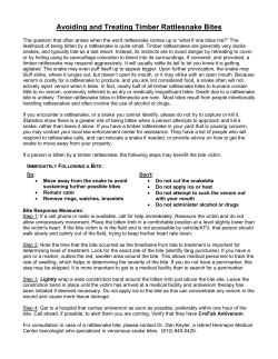 Avoiding and Treating Timber Rattlesnake Bites