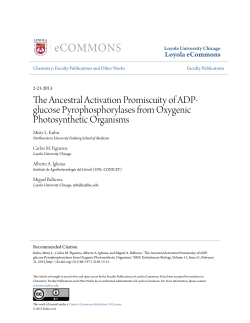 The Ancestral Activation Promiscuity of ADP