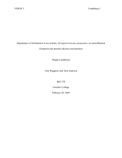 Dependence of fertilization in sea urchins