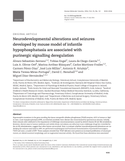 Neurodevelopmental alterations and seizures developed by mouse