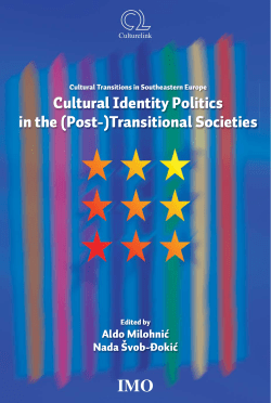 Cultural Identity Politics in the - Questioning transitional dynamics in