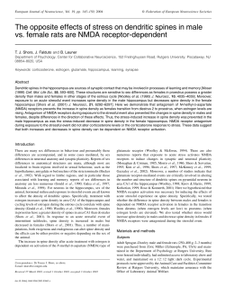 The opposite effects of stress on dendritic spines in